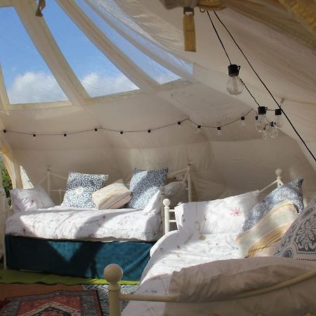 Tal-Y-Fan Farm 6M Stargazer Tent Bridgend  Exterior photo